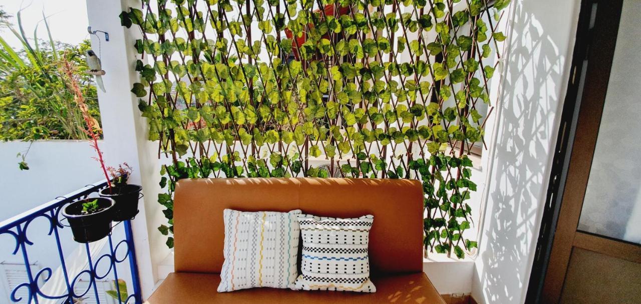 برايا Kelly Guest House المظهر الخارجي الصورة