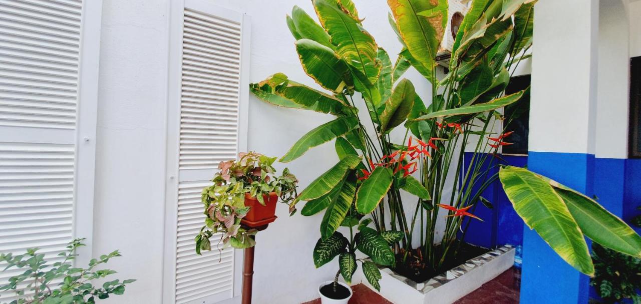 برايا Kelly Guest House المظهر الخارجي الصورة